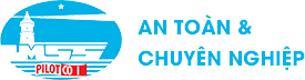 Biểu khung giá Hoa tiêu (mới)