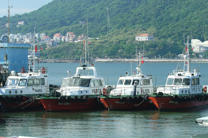 Chức năng, nhiệm vụ của Chi nhánh Hoa tiêu VIII